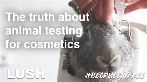 is chanel lipstick tested on animals